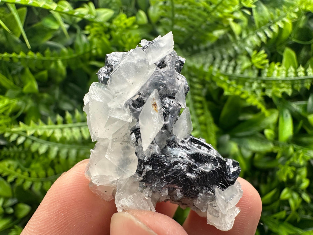 Quartz Galena Calcite Specimen: Borieva Mine, Bulgaria