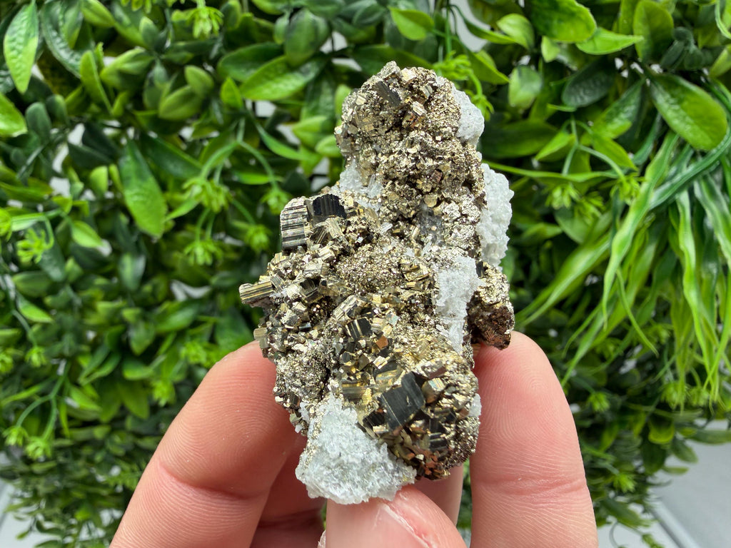 Pyrite Sphalerite Quartz  Mineral Specimen, Krushev dol Mine
