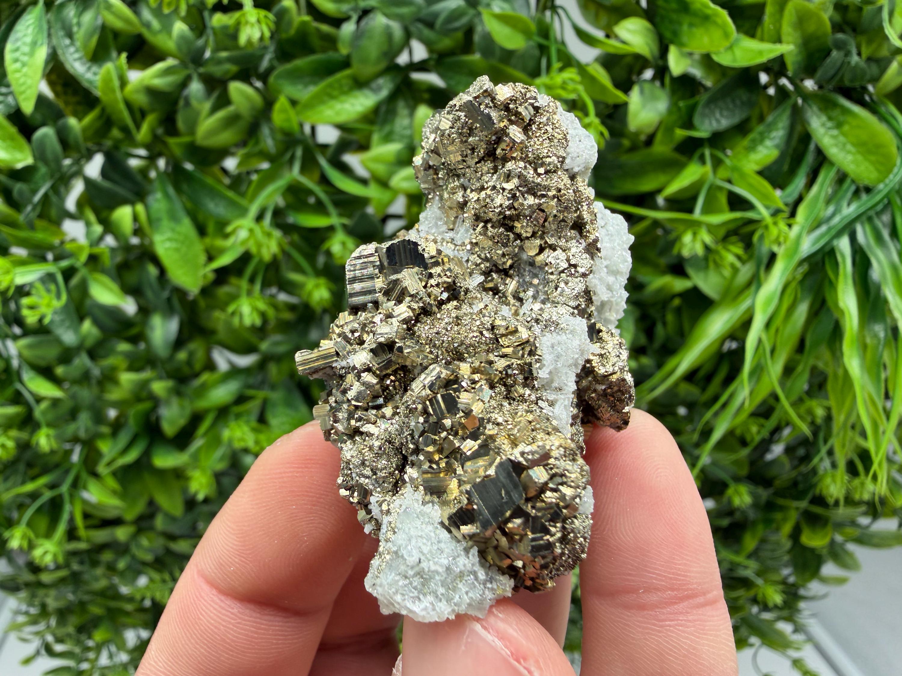 Pyrite Sphalerite Quartz  Mineral Specimen, Krushev dol Mine