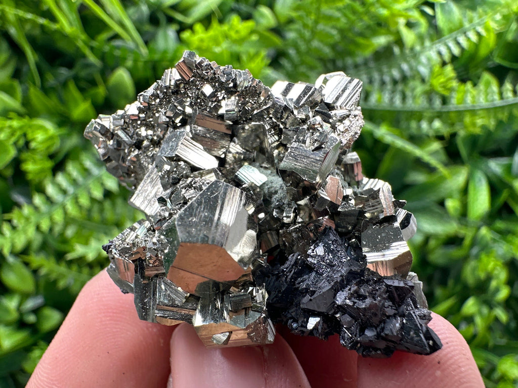 Golden Pyrite with Sphalerite Mineral Specimen, Borieva Mine, Bulgaria