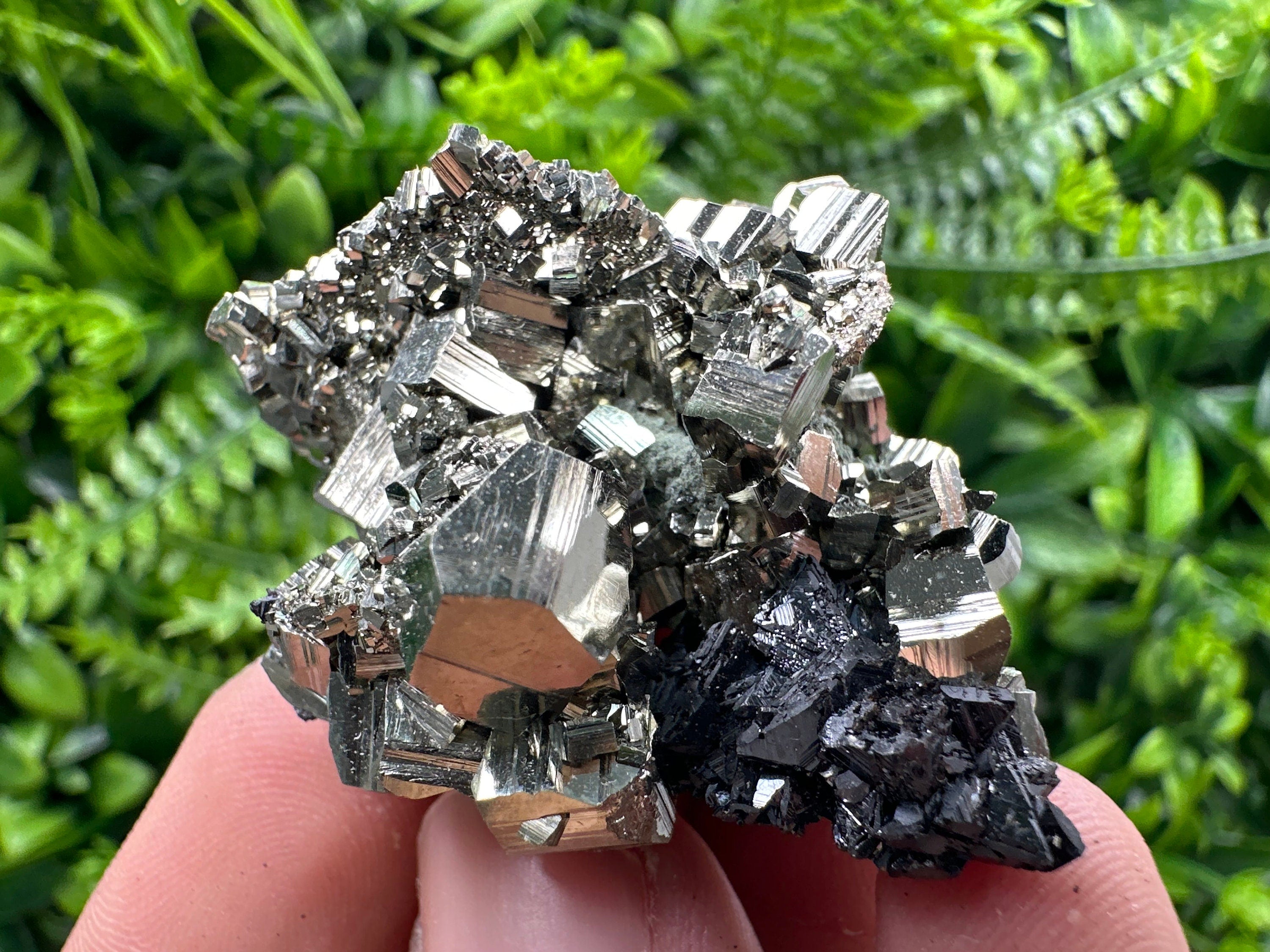 Golden Pyrite with Sphalerite Mineral Specimen, Borieva Mine, Bulgaria