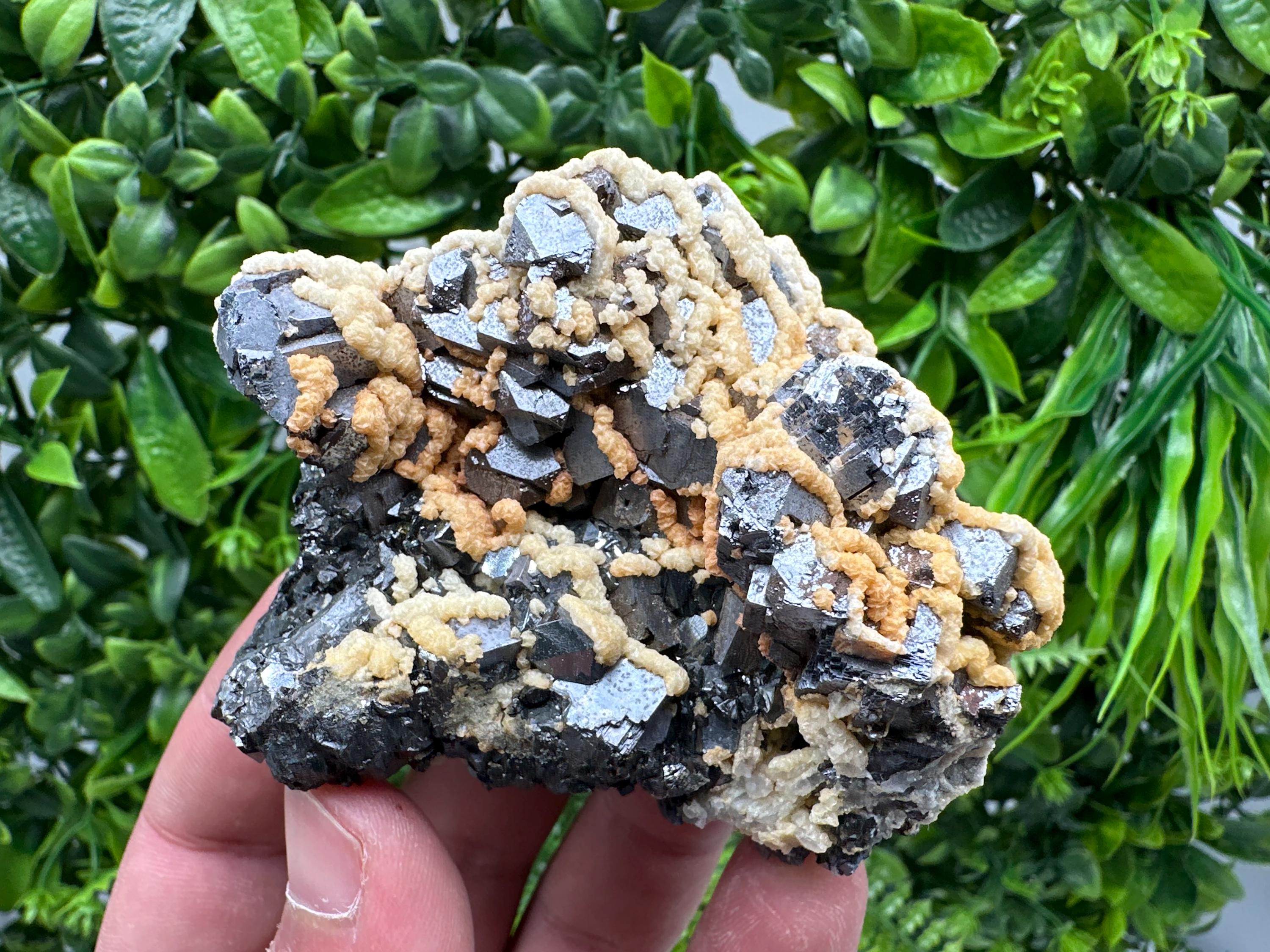 Galena with Dolomite Cluster, Krushev dol Bulgaria