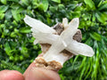 Quartz on Rhodochrosite Matrix, Madan Bulgaria Mineral Specimen