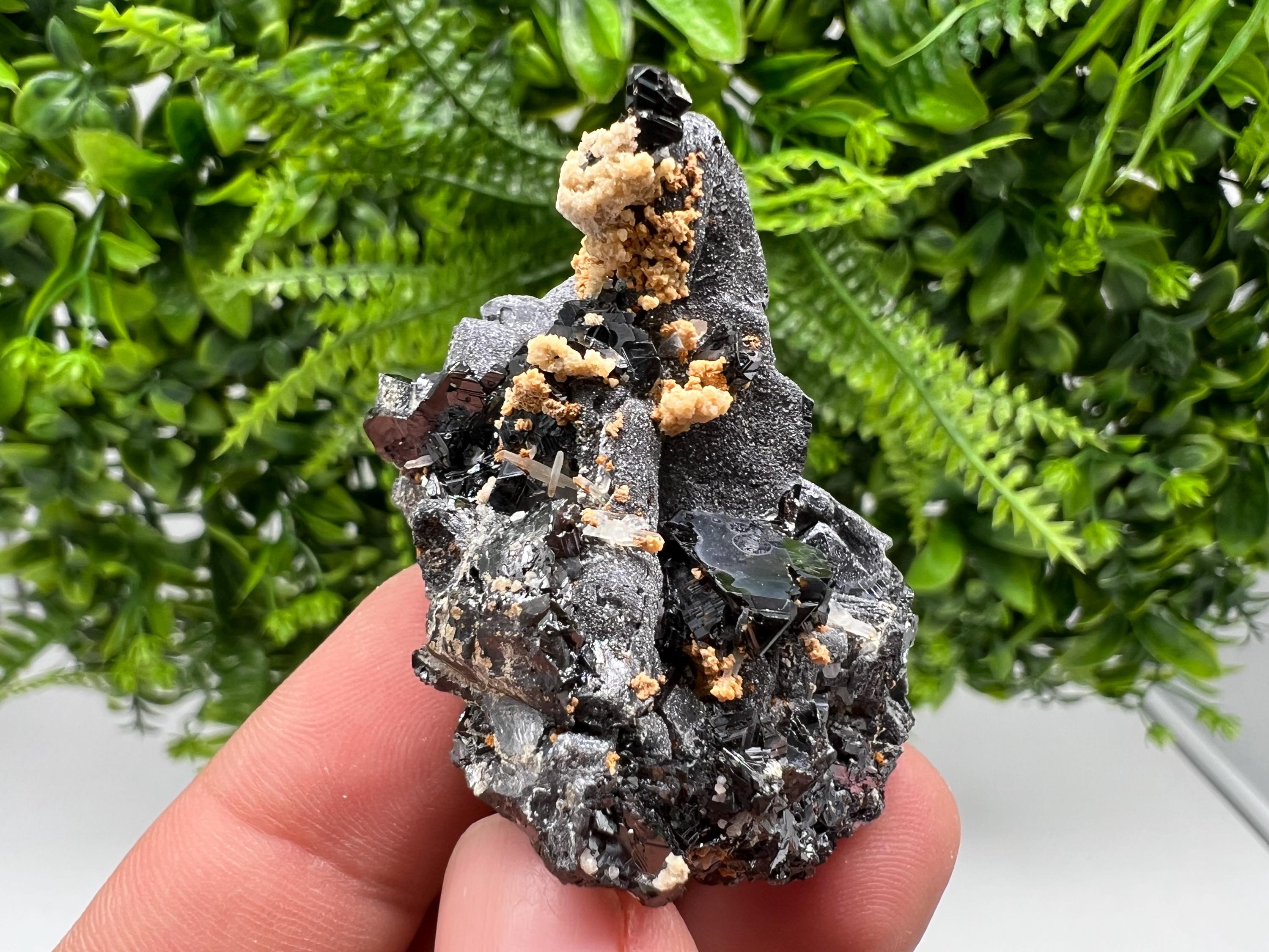 Skeletal Galena Mineral Specimen: Madan Bulgaria Collectible Stone