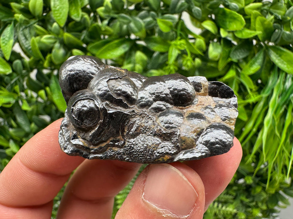 Botryoidal Black Hematite Specimen: Moroccan Crystal for Reiki Chakra