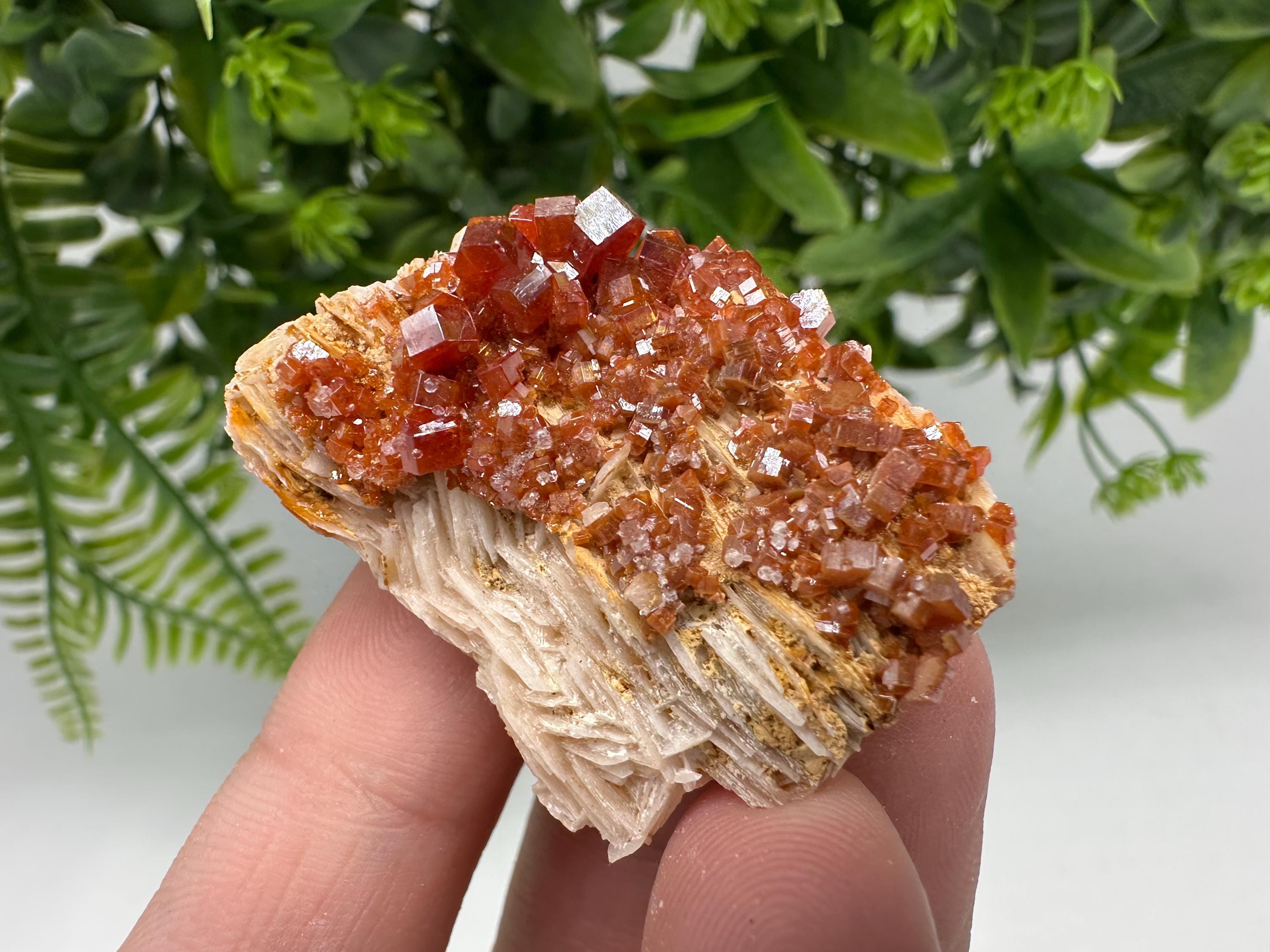 Red Vanadinite Crystal Cluster on Barite Matrix from Morocco