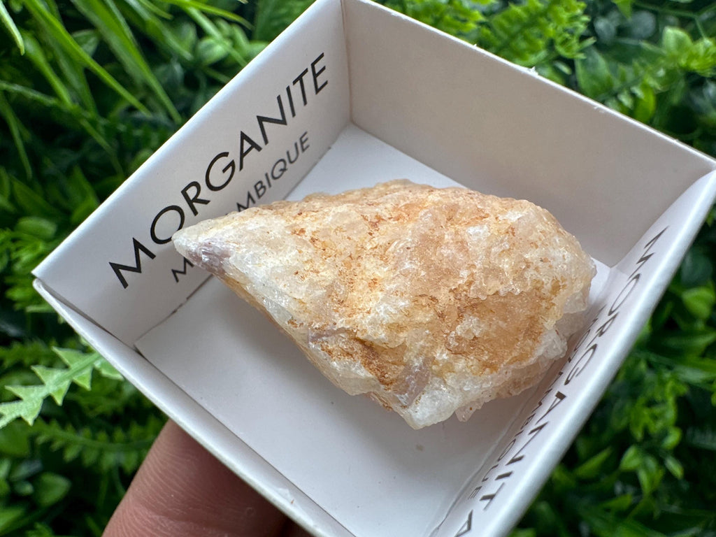Rare Raw Morganite Specimen: Mozambique Crystal (3.5/3cm)