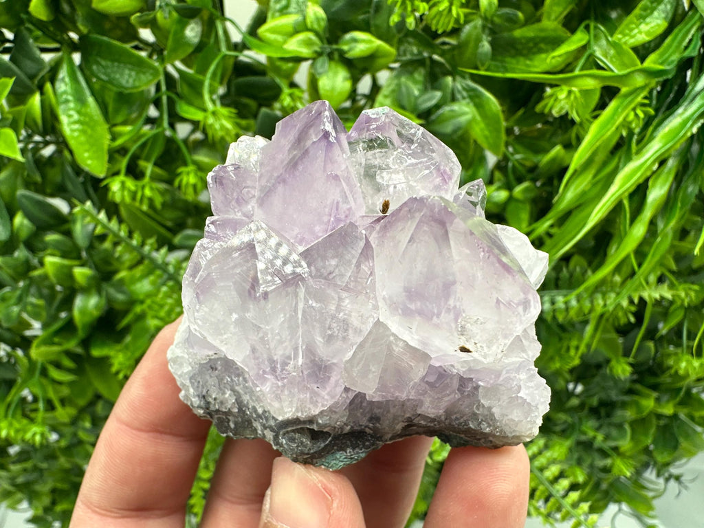 Brazilian Amethyst Crystal Cluster, Purple Quartz Specimen