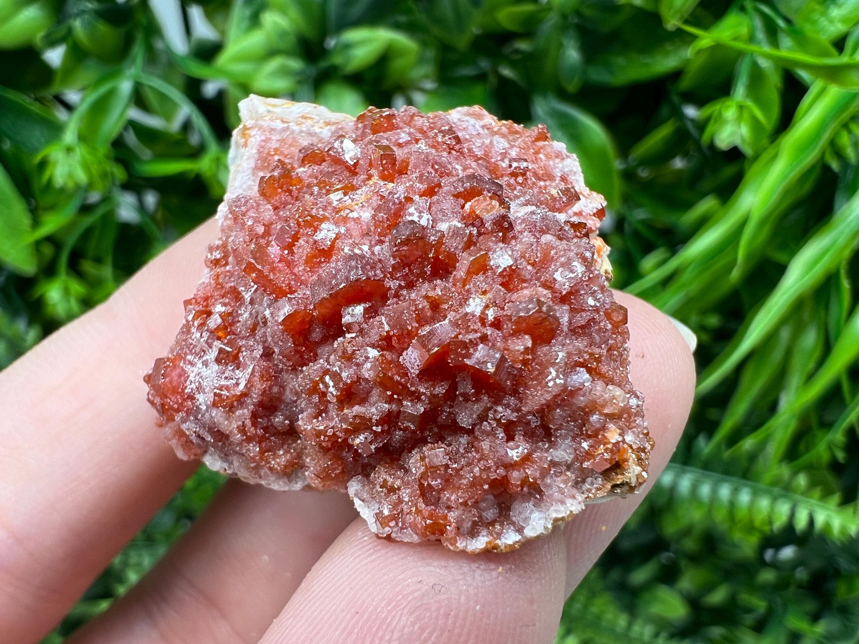 Red Vanadinite on Barite from Marocco,crystal minerals Speciment cluster Vanadinite crystal Vanadinite Geology Vanadinite cluster minerals