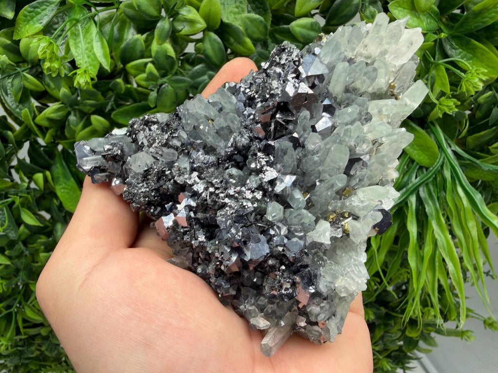 Galena Sphalerite Pyrite on Quartz, Borieva Mine, Bulgaria