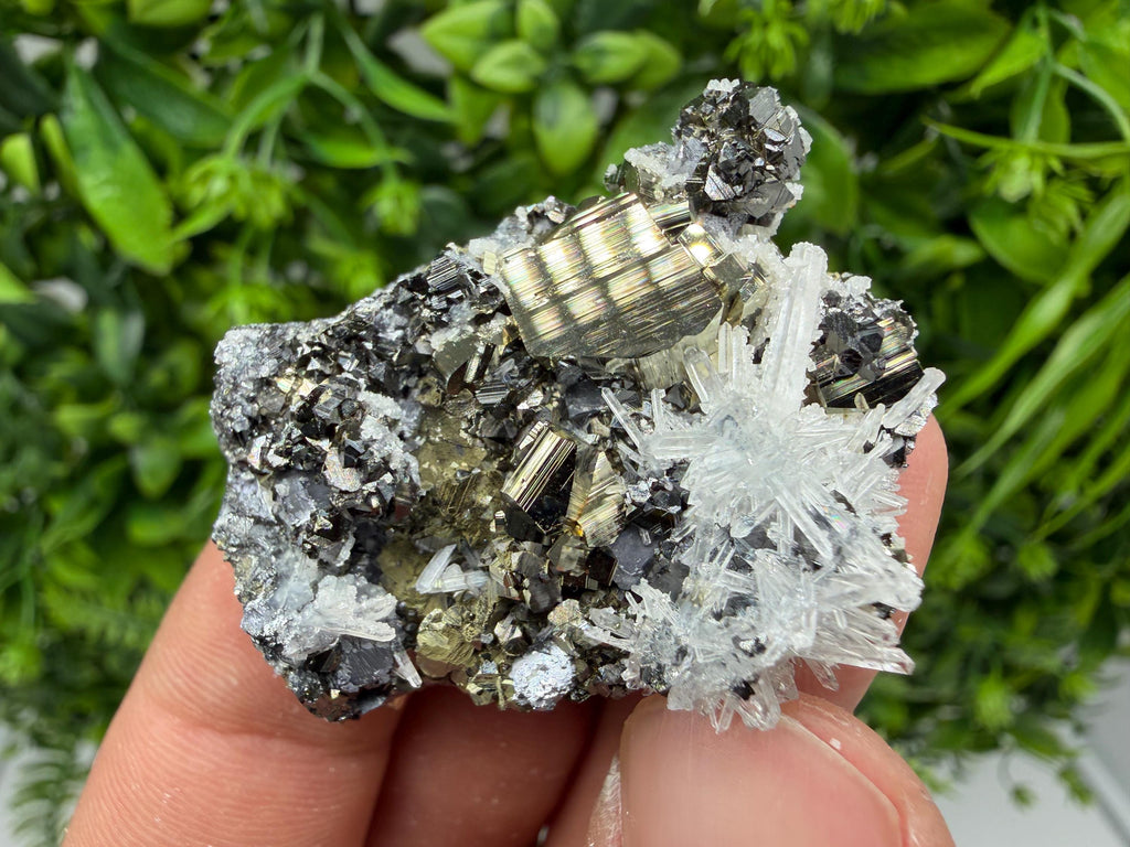 Pyrite Sphalerite Quartz  Mineral Specimen, Krushev dol Mine