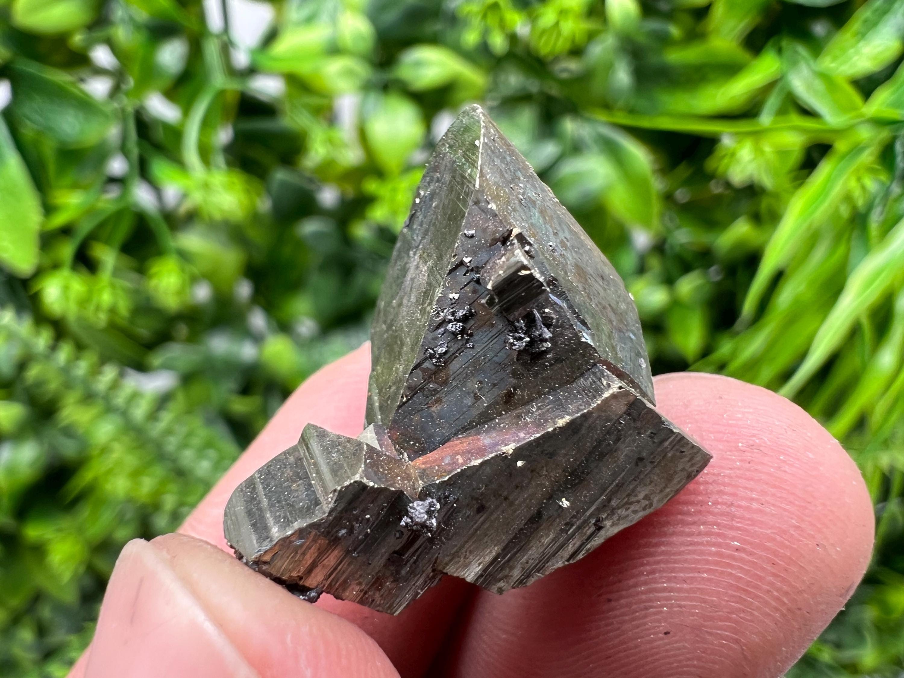 Rare Crystallization Pyrite, Borieva Mine, Bulgaria, Rainbow Golden Pyrite