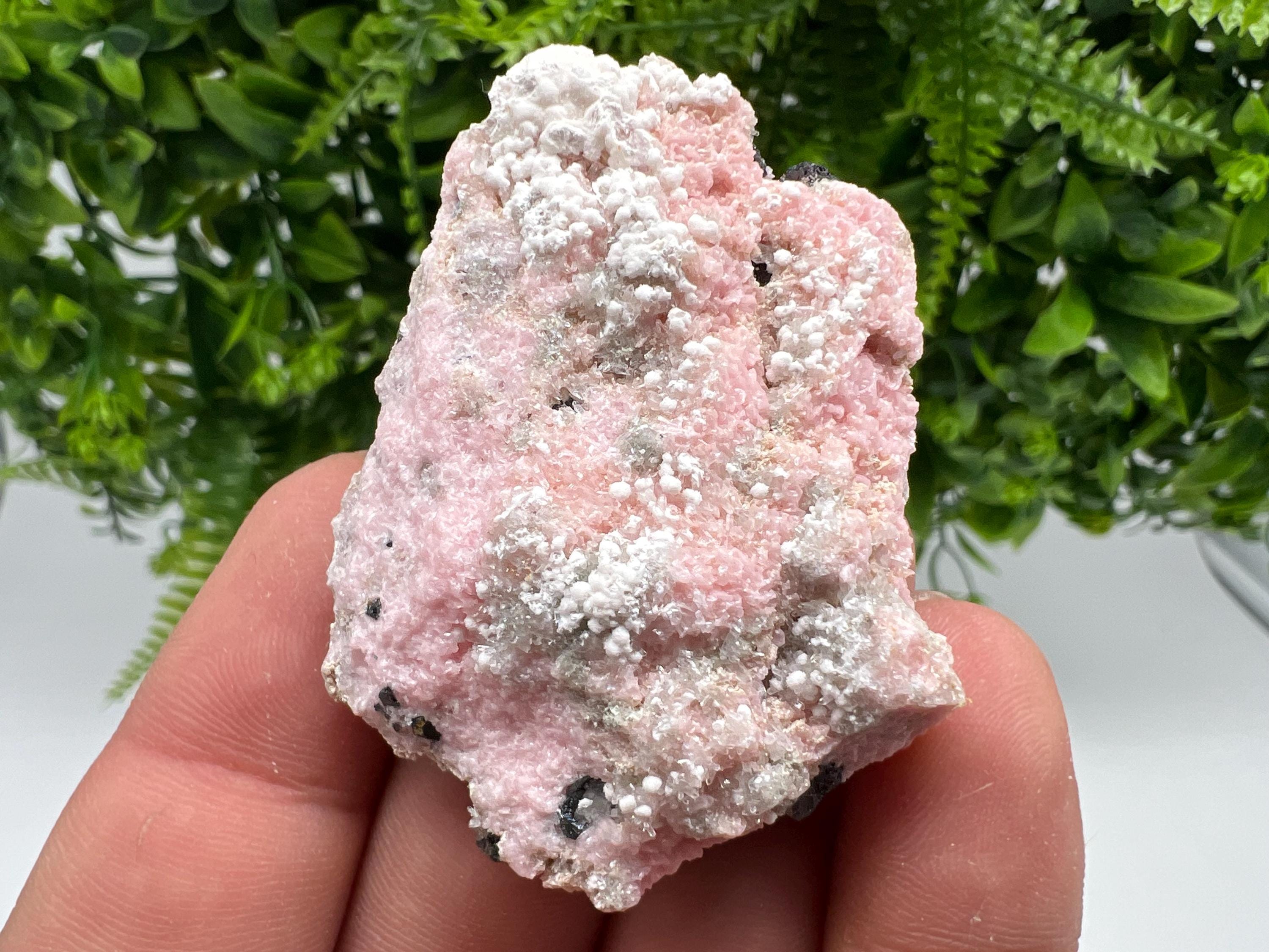 RARE Rhodochrosite with White Calcite, Starnica Mine, Bulgaria