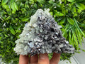 Galena Sphalerite Pyrite on Quartz, Borieva Mine, Bulgaria