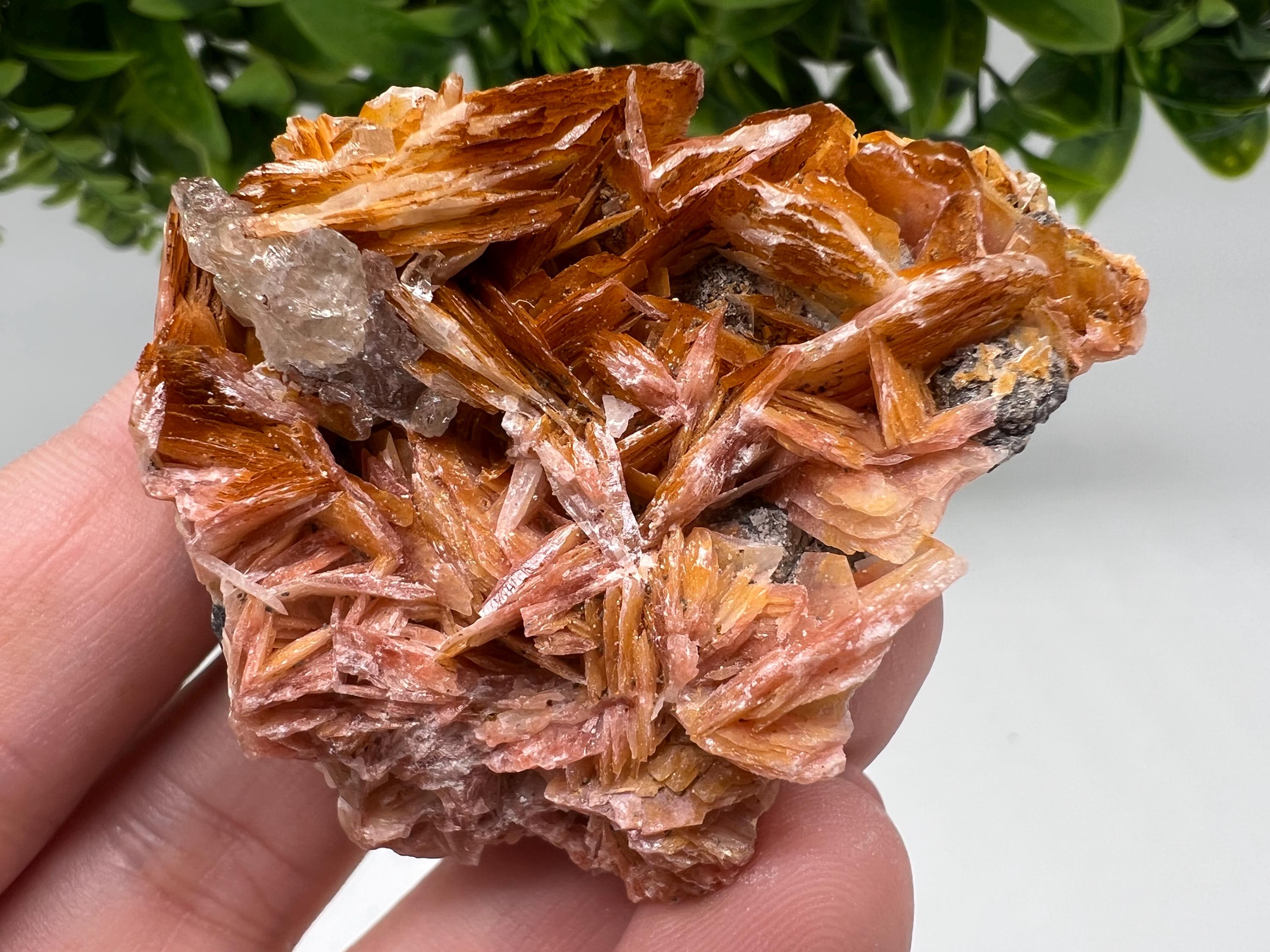 Wonderful Baryte with Cerussite on Galena from Morocco,Crystal, Mineral,Specimen,Cluster,Crystals,Barite Crystal,Cerussite Crystal,Specimen