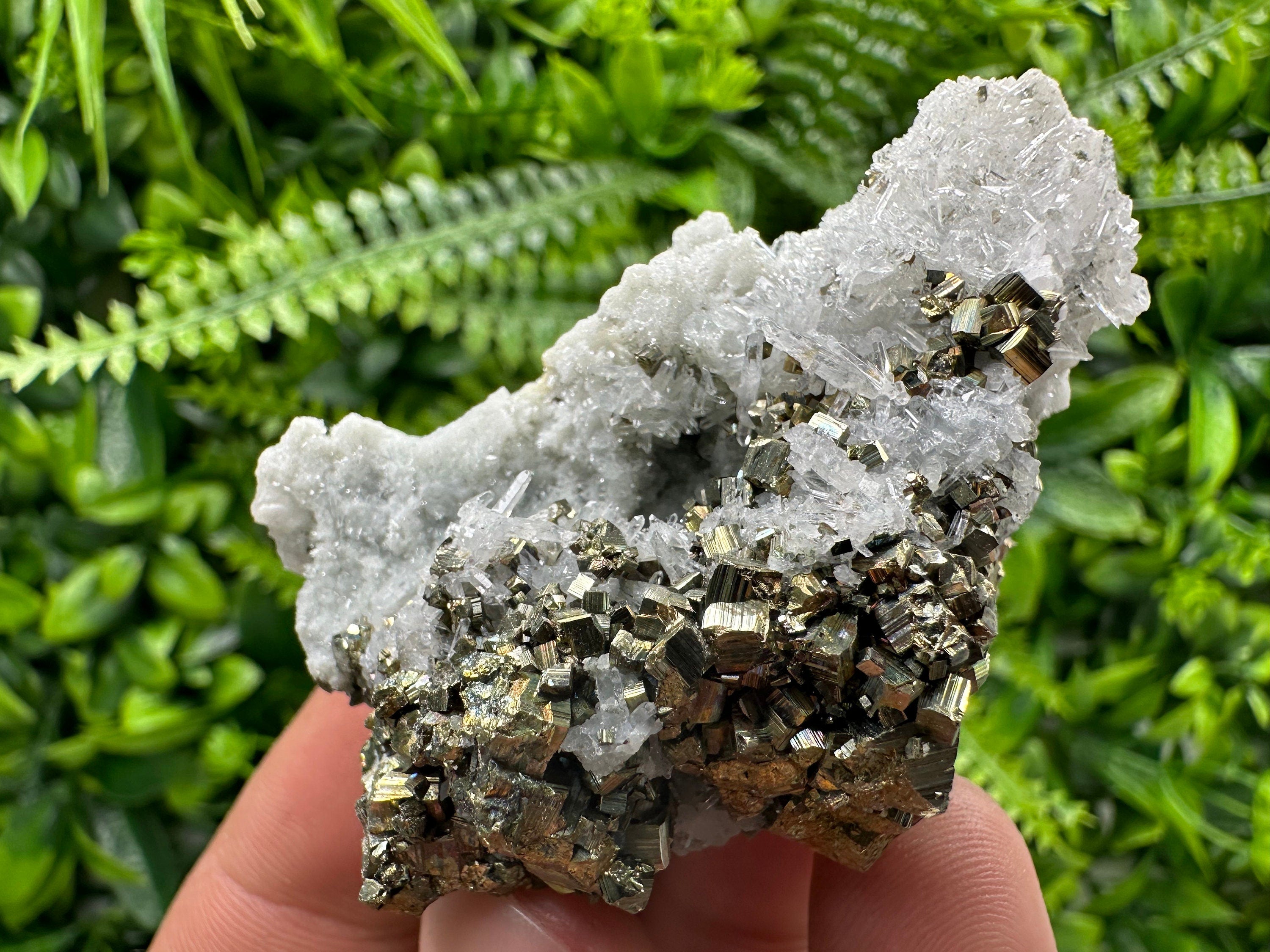 Pyrite on Quartz: Borieva Mine Crystal Home Decor