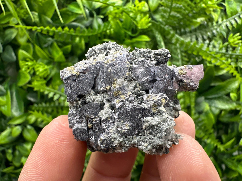 Pyrite on Galena with Quartz, Borieva Mine Mineral Specimen