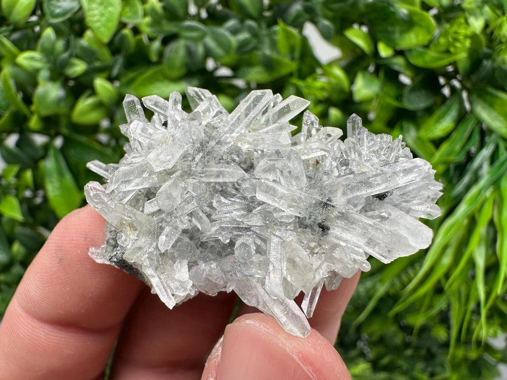 Quartz with Epidote Specimen: Borieva Mine, Bulgaria