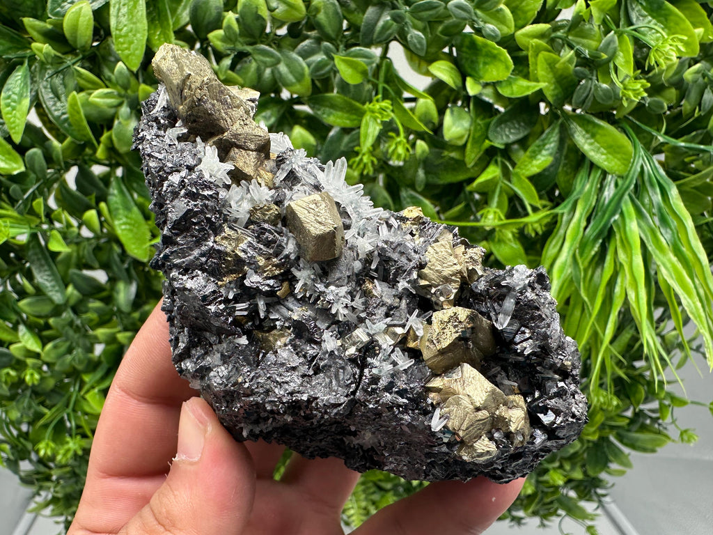 Chalcopyrite with Sphalerite on Quartz, Borieva Bulgaria