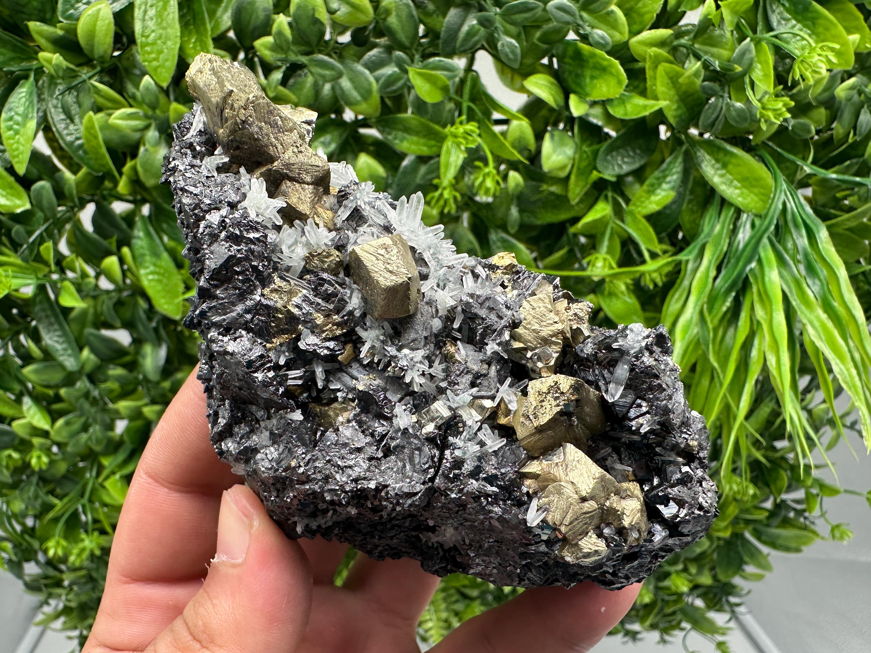 Chalcopyrite with Sphalerite on Quartz, Borieva Bulgaria