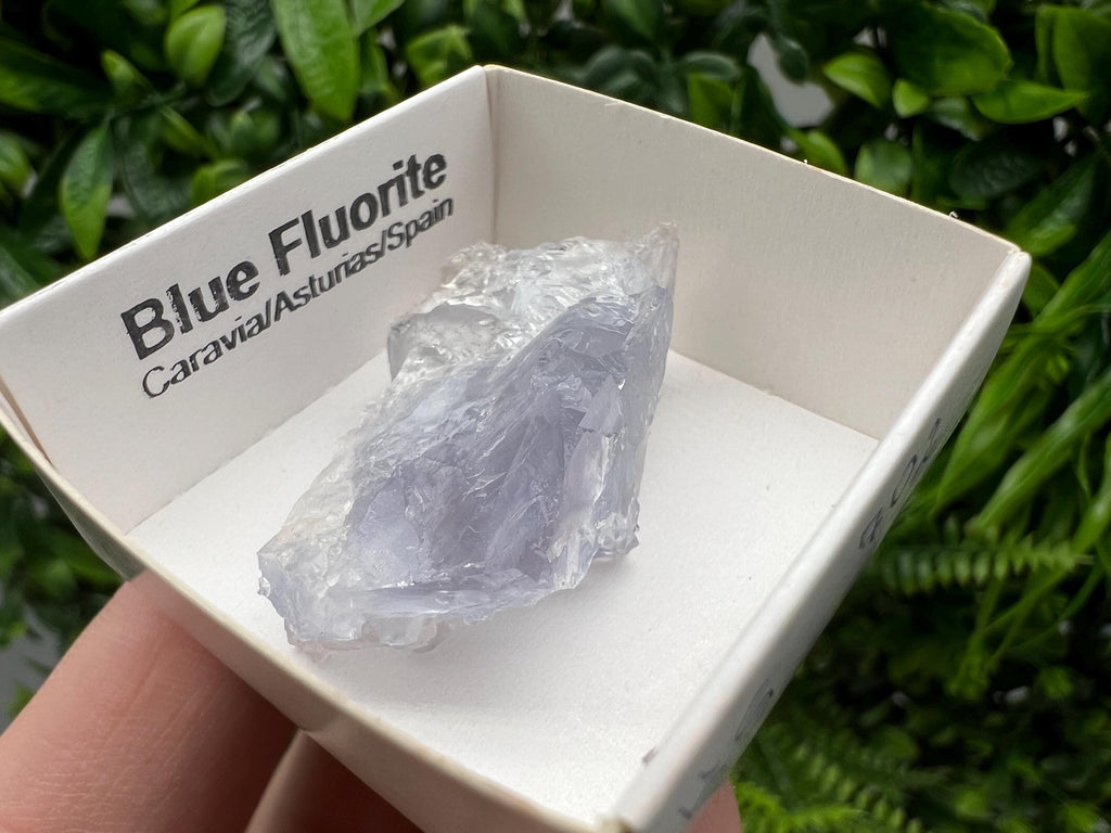Blue Fluorite Mineral Specimen: Spain Collection (4/3cm