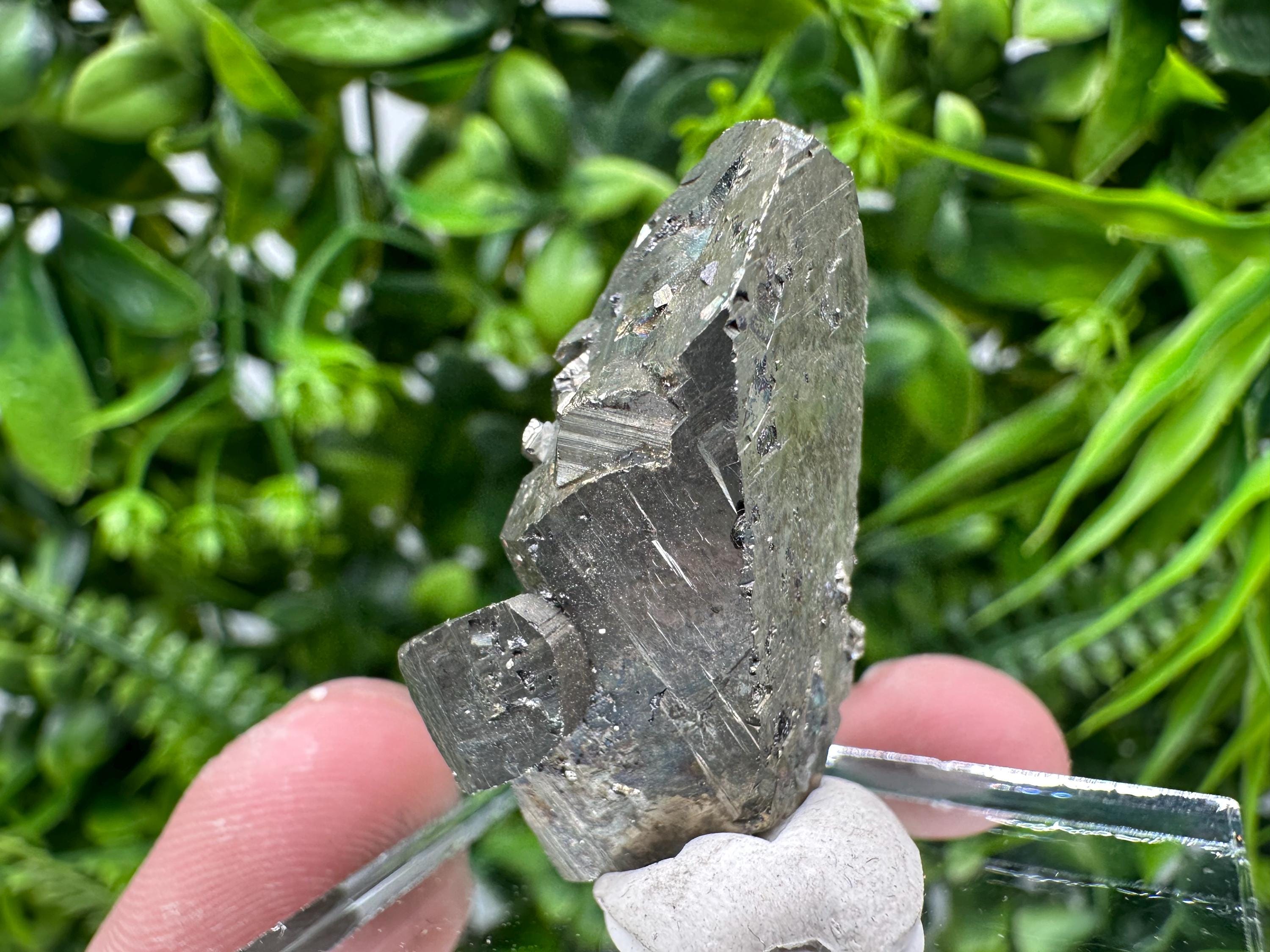 Rare Mini Pyrite Cluster: Borieva Mine, Bulgaria