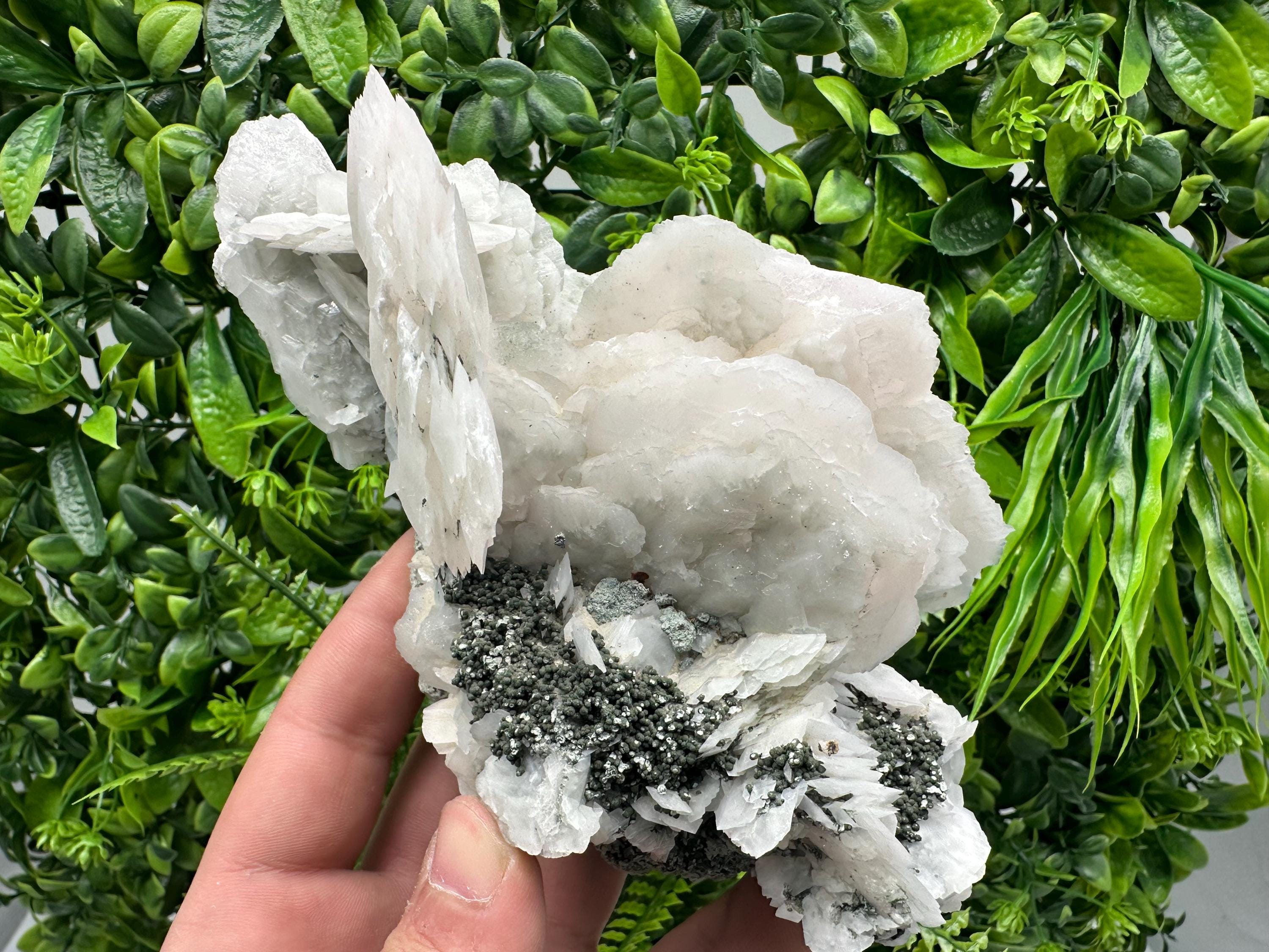 Mangano Calcite Wings on Chlorite Matrix, Bulgaria Mineral Specimen