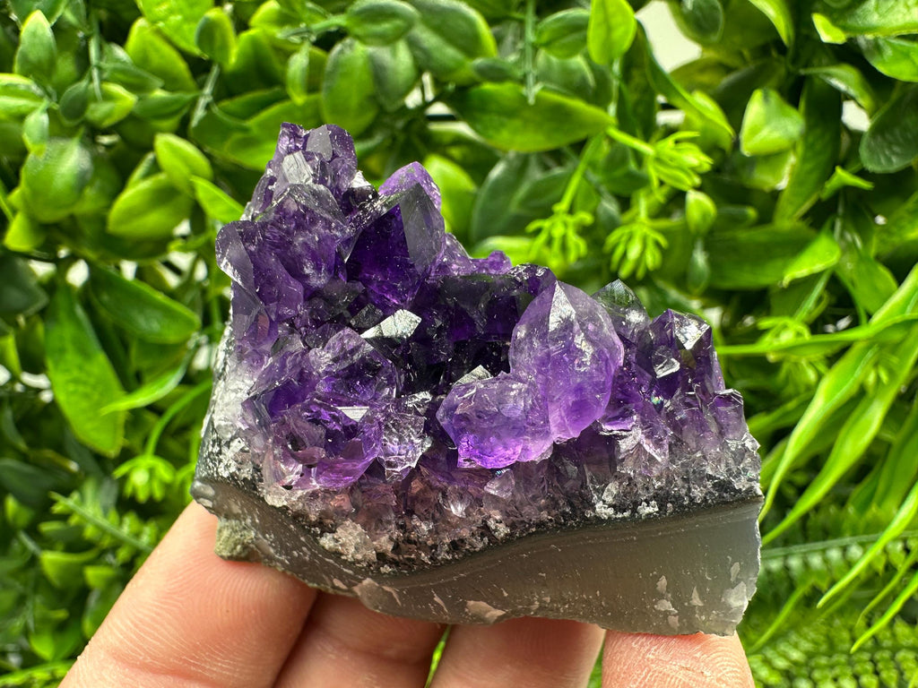 Uruguay Amethyst Cluster: Natural Purple Quartz Crystal, Home Decor