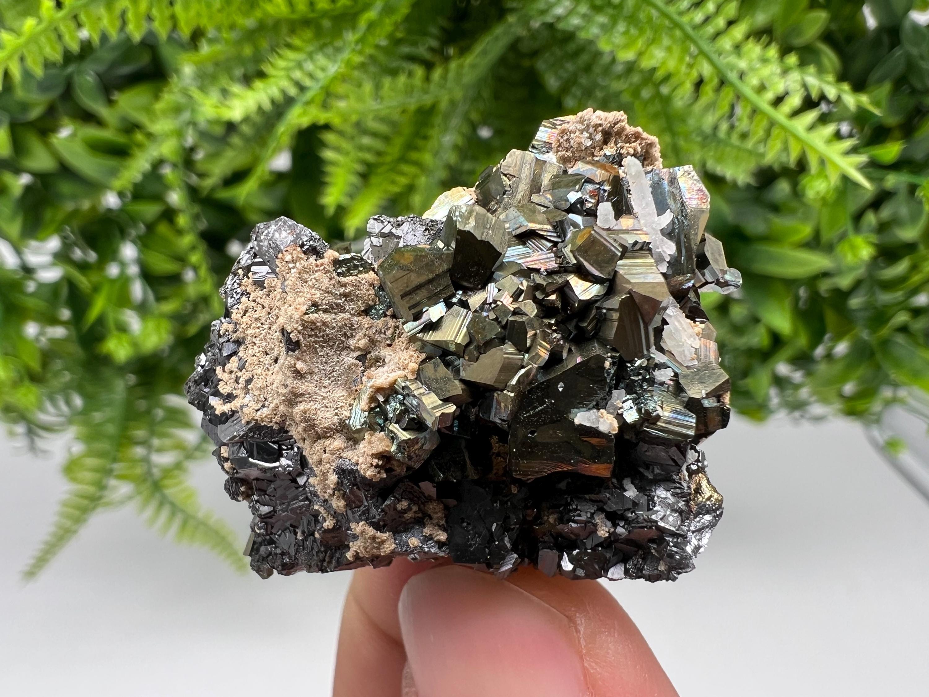Rainbow Pyrite Siderite Mineral Specimen: Madan Bulgaria Collectible