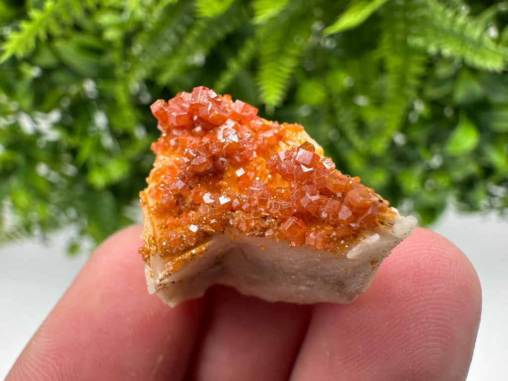 Red Vanadinite Crystal Cluster on Barite Matrix, Moroccan Mineral Specimen