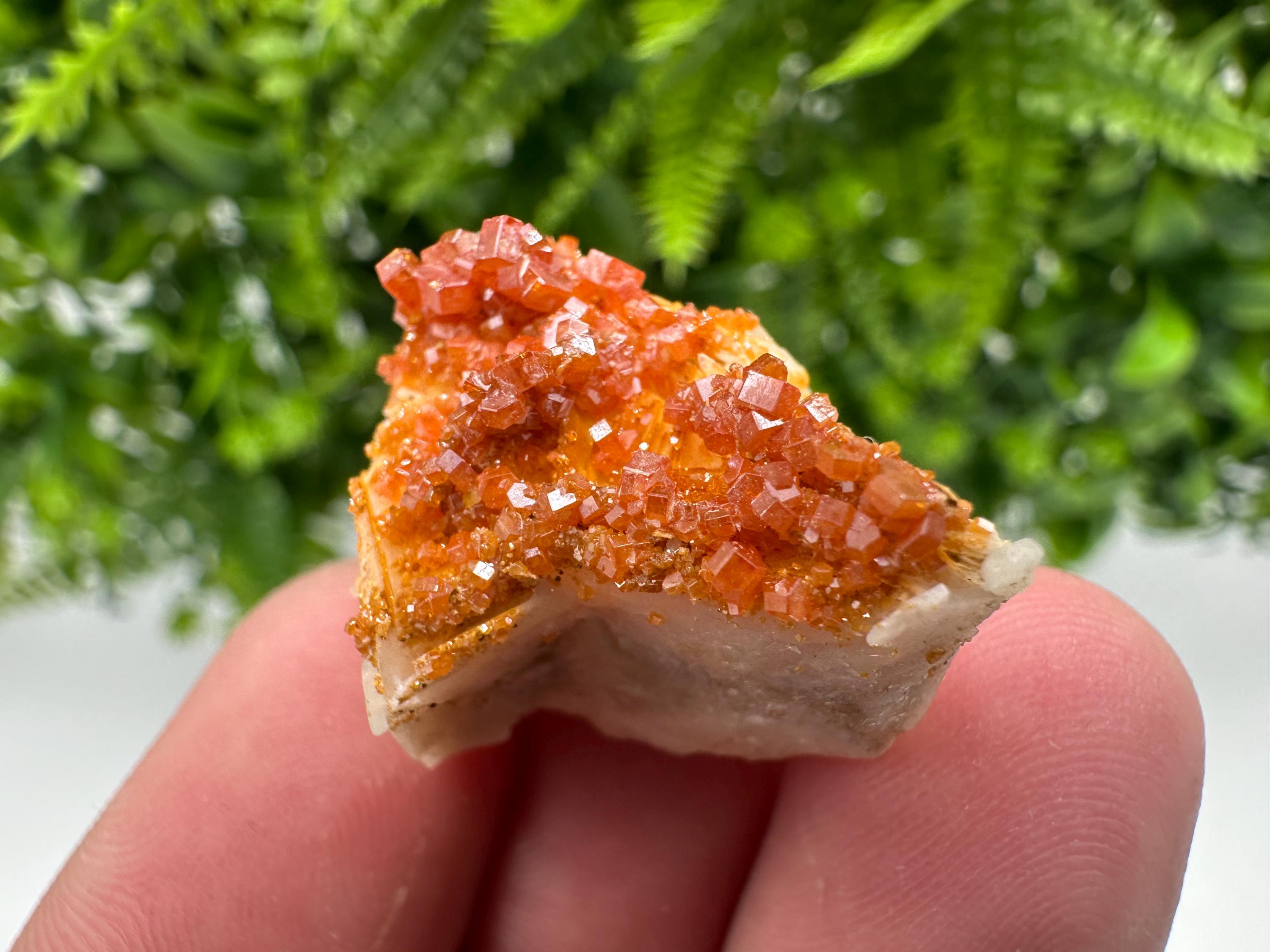 Red Vanadinite Crystal Cluster on Barite Matrix, Moroccan Mineral Specimen