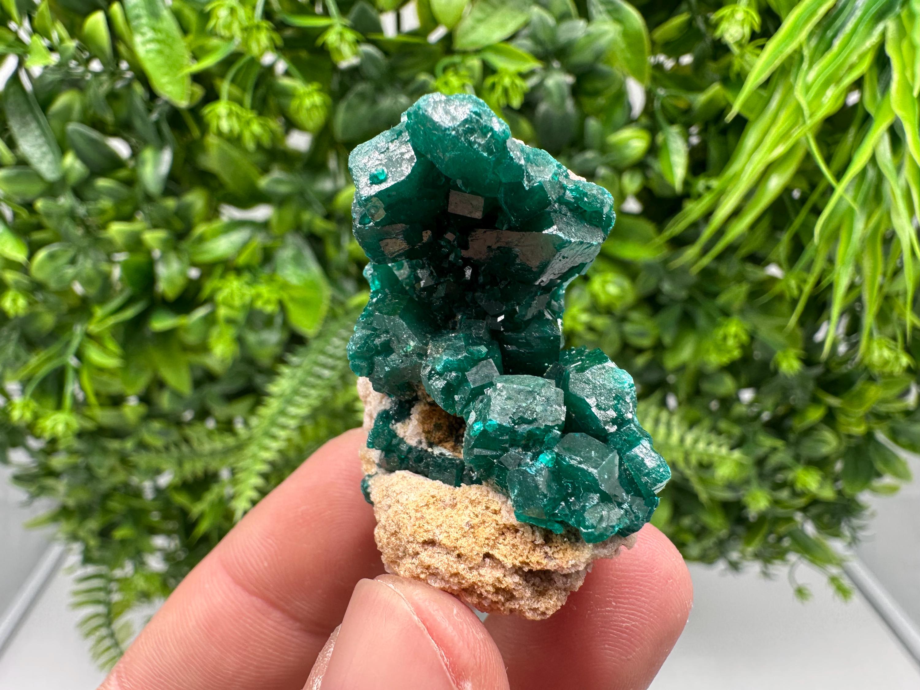 Stunning Green Dioptase from Sanda Hills,Mindouli,Pool Department,Mindouli District,Congo,green Dioptase,Dioptas Crystal,Dioptase collecting