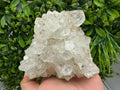 Apophyllite on Chalcedony Specimen: Transparent Crystal, India Minerals