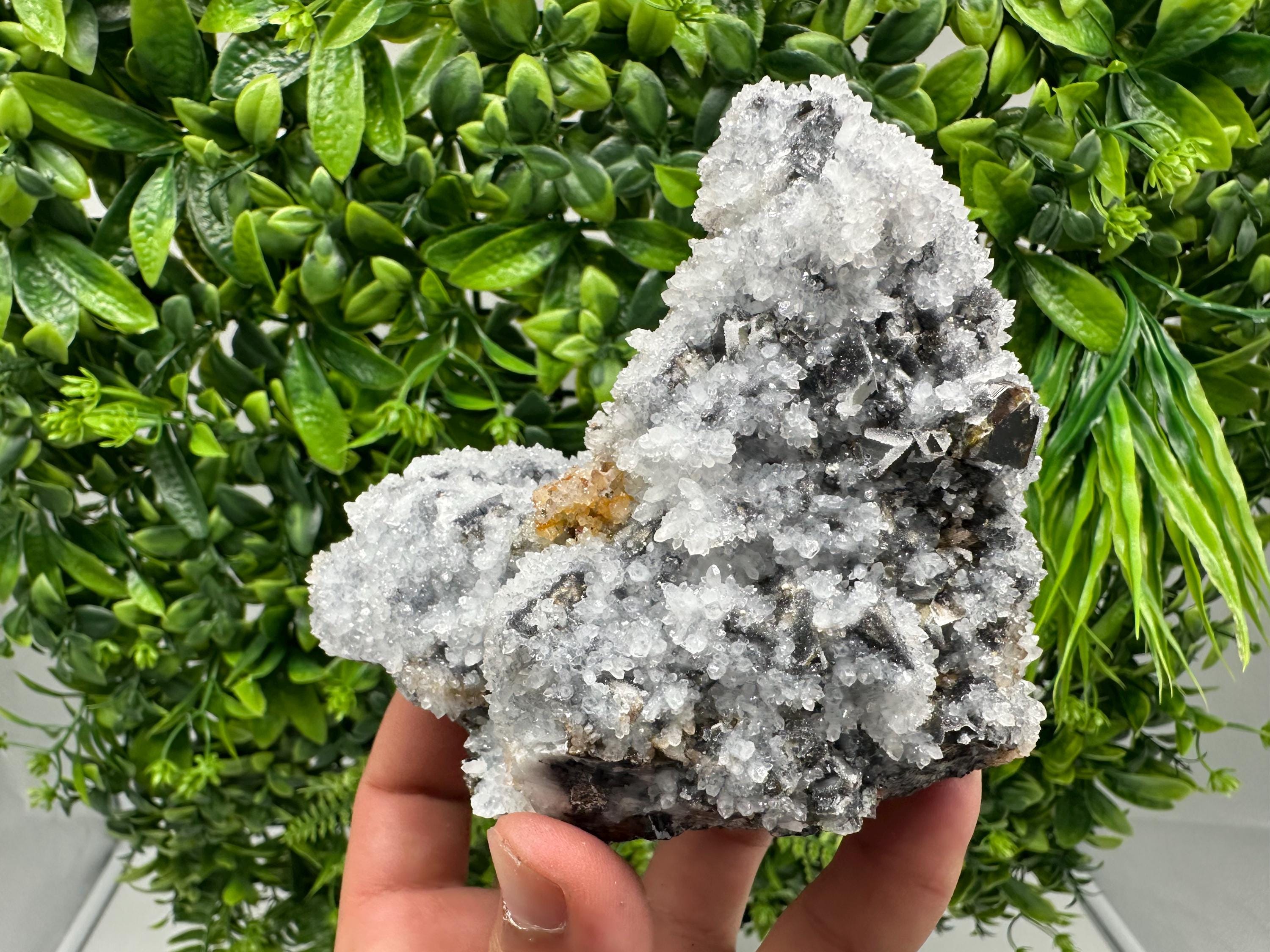 Chalcedony Micro Crystal Specimen: Krushev Dol Mineral Collection