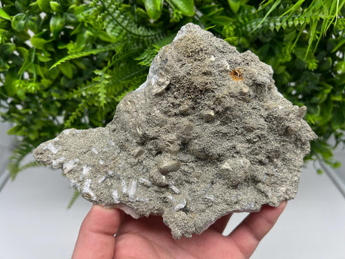 Barite Marcasite Cluster on Chalcedony - Androvo Mine, Bulgaria