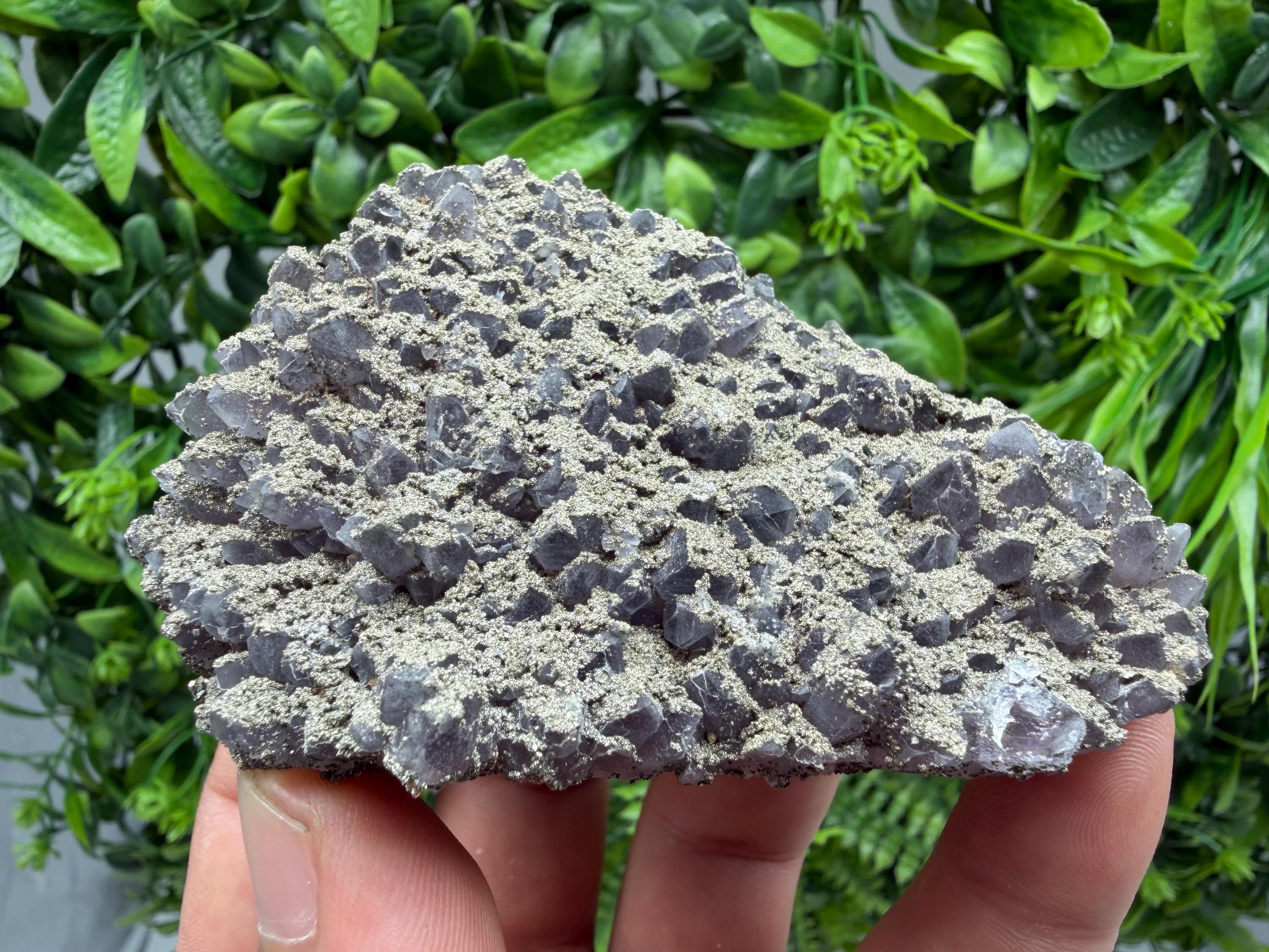 Chala Mine Amethyst Phantom Cluster, Bulgaria Crystal Specimen