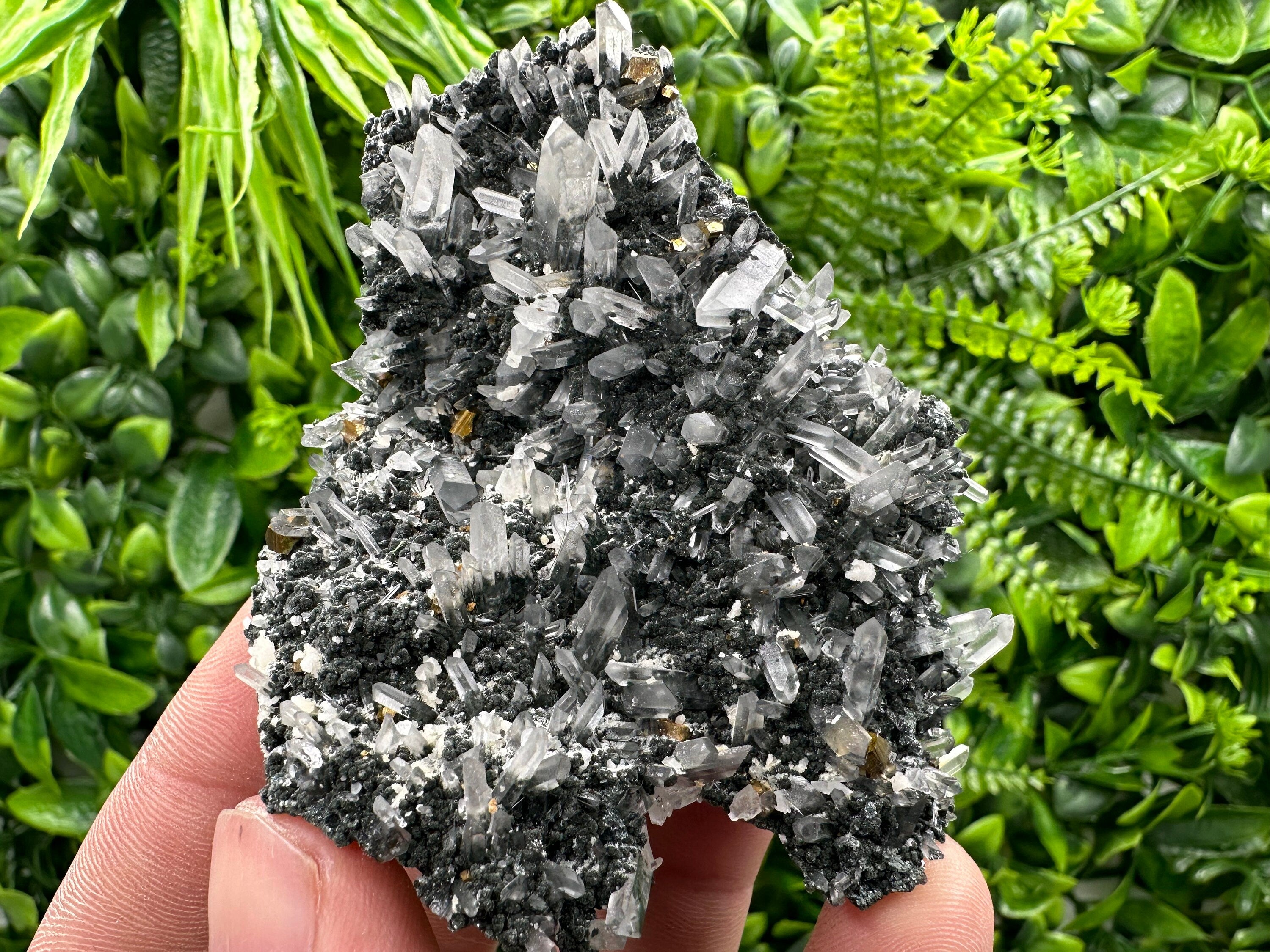 Pyrite on Quartz with Chlorite: Borieva Mine Crystal Decor