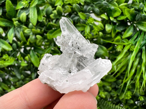 Calcite on Quartz Crystal: Borieva Mine, Bulgaria