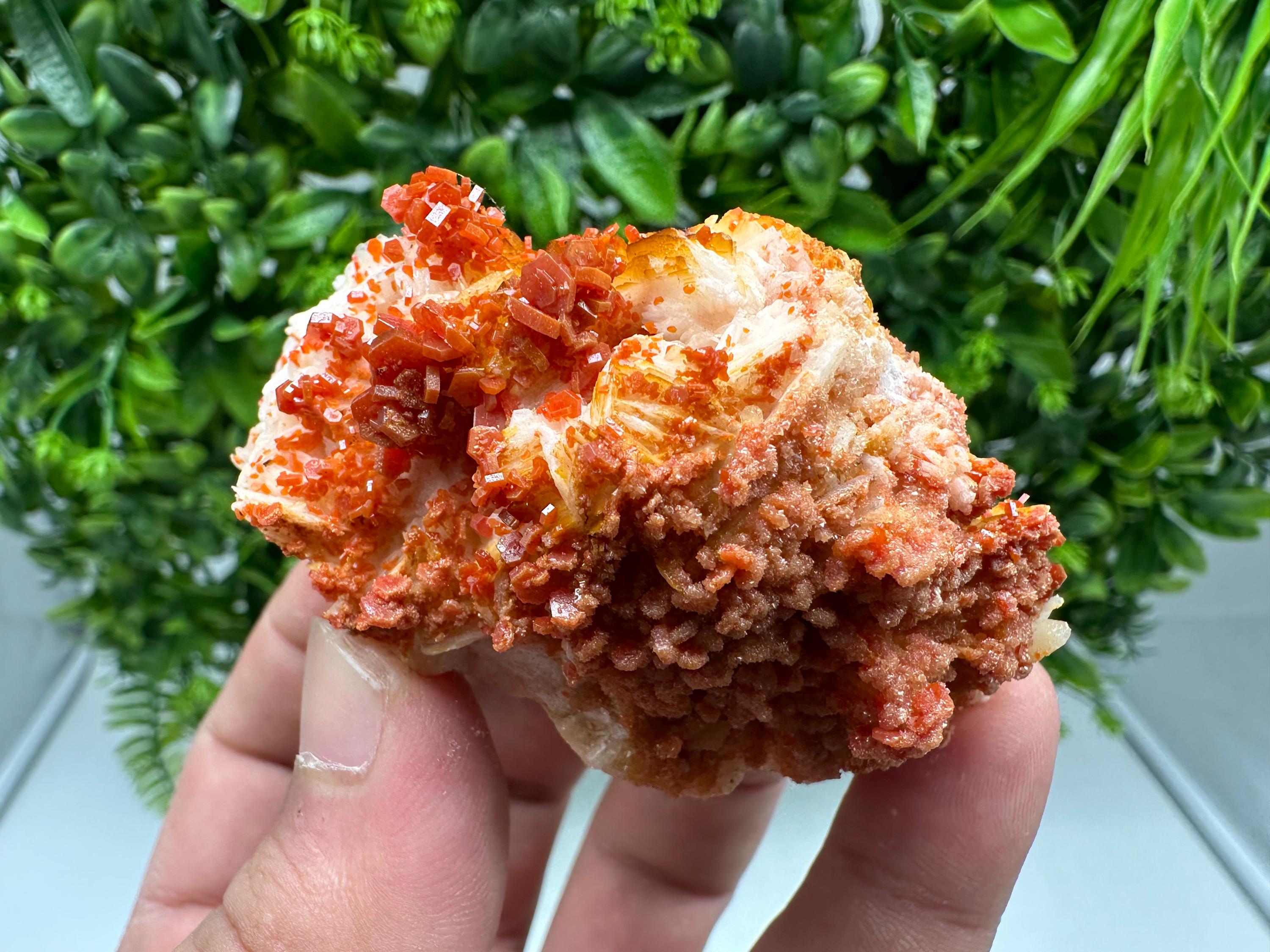 Red Vanadinite on Barite from Marocco,crystal minerals Speciment cluster Vanadinite crystal Vanadinite Geology Vanadinite cluster minerals