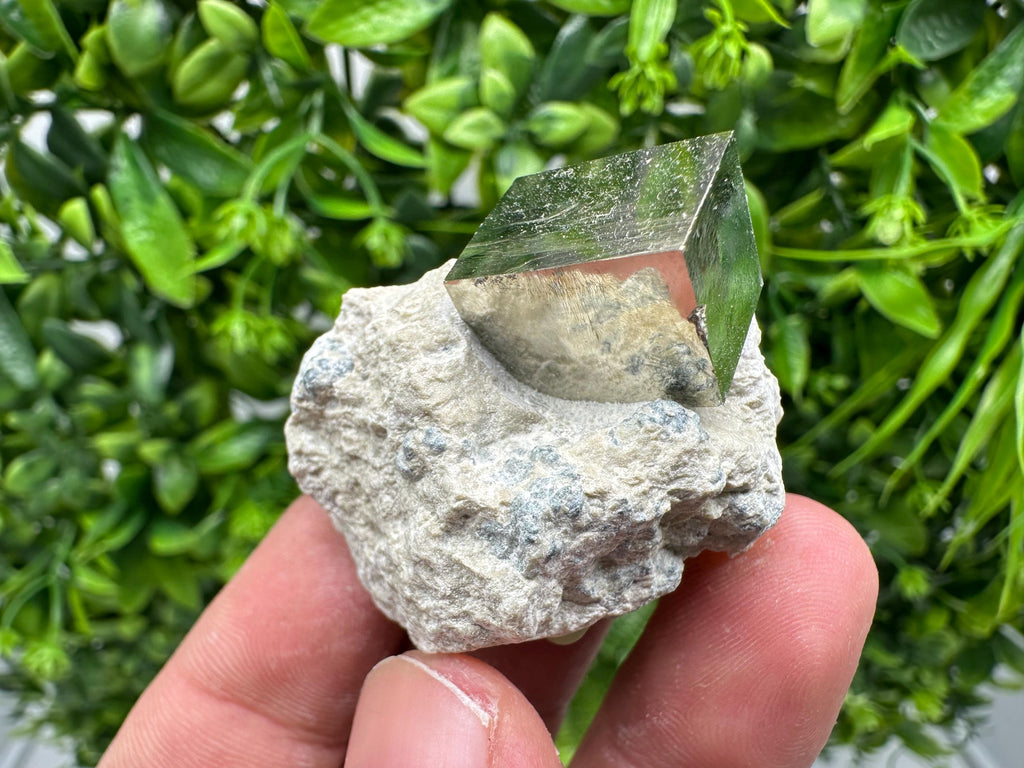 Large Pyrite Cube on Matrix, Natural Mineral Specimen, La Rioja Spain
