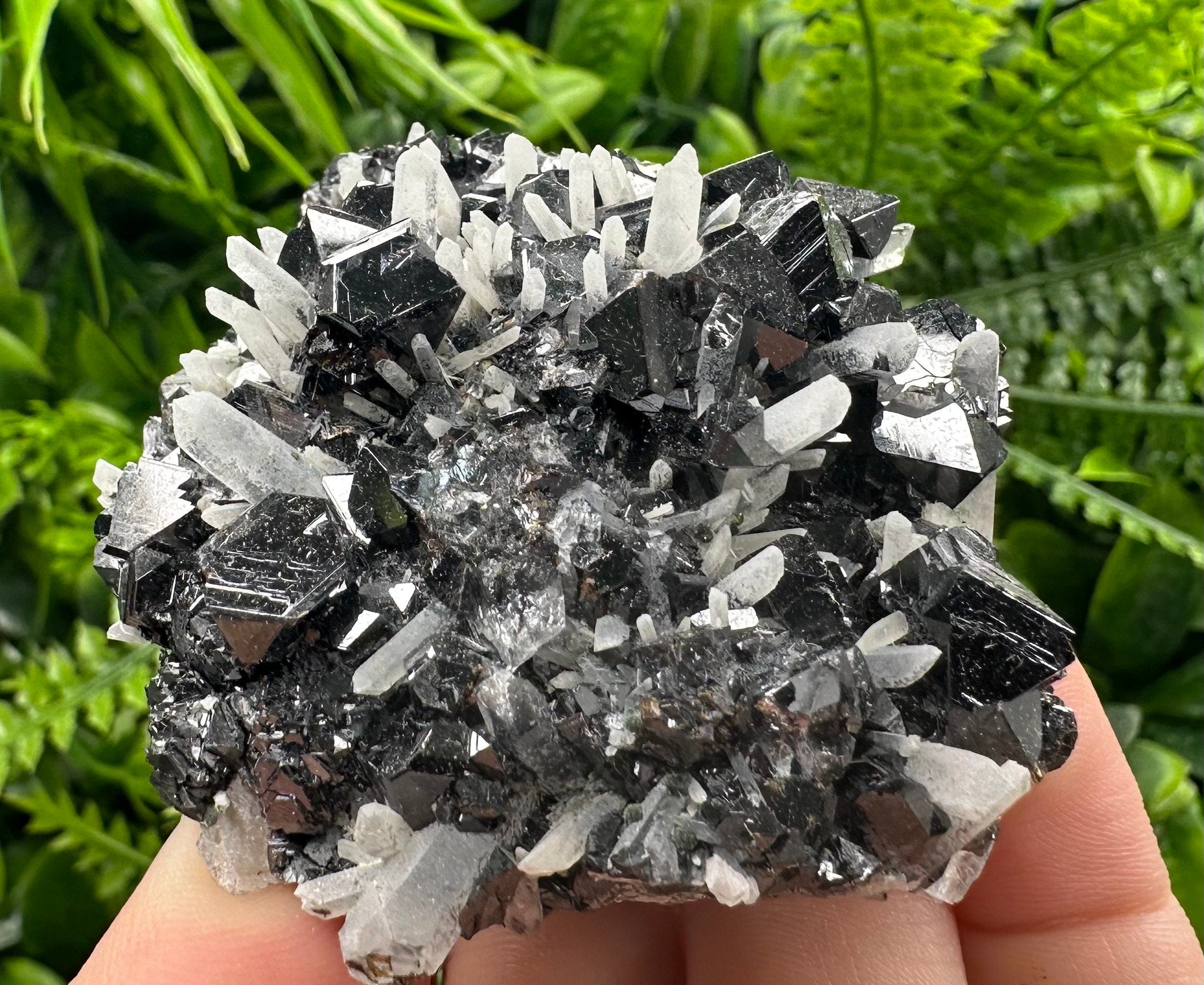 Borieva Mine Sphalerite on Quartz: Rare Mineral Cluster