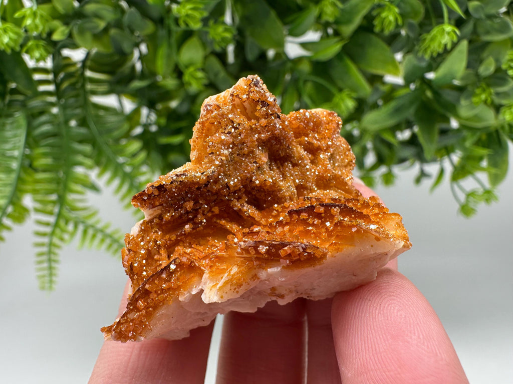 Red Vanadinite on Barite from Marocco,crystal minerals Speciment cluster Vanadinite crystal Vanadinite Geology Vanadinite cluster minerals