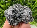 Shiny Galena Cluster, Borieva Mine, Bulgaria: Natural Mineral Decor