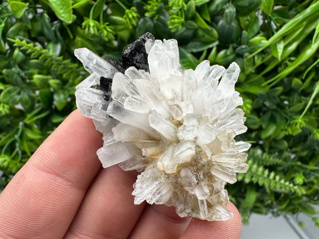 Quartz Sphalerite Chalcopyrite Mineral Specimen, Madan Bulgaria