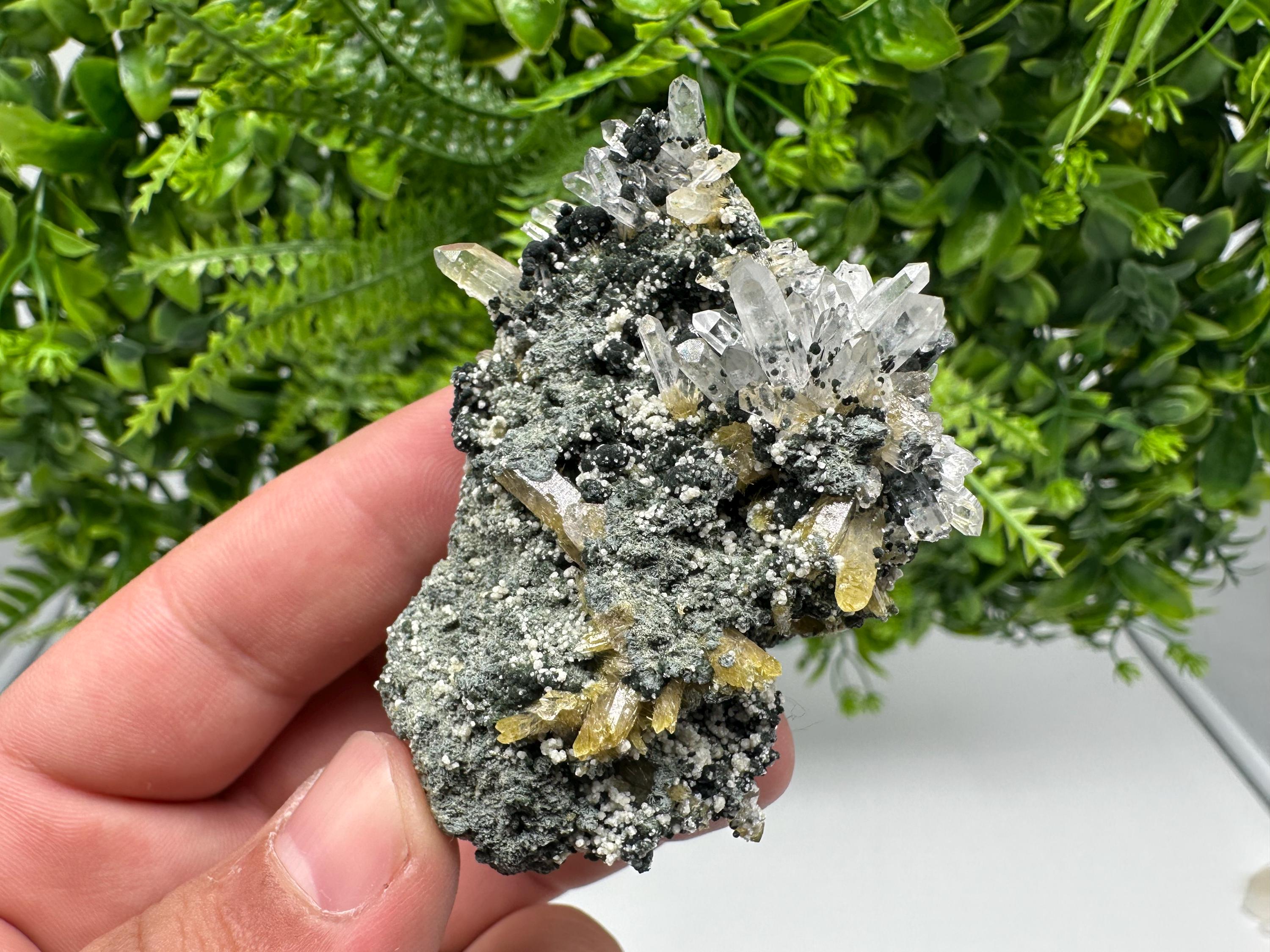 Chlorite Epidote Quartz Specimen: Borieva Mine, Bulgaria