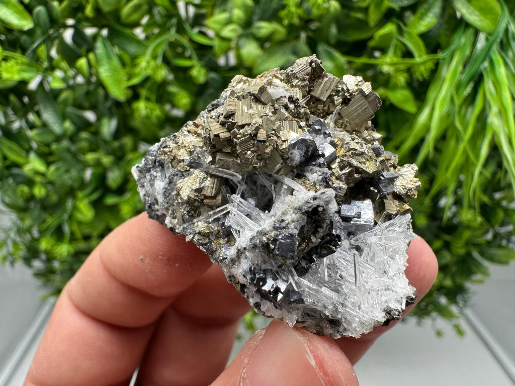 Rainbow Pyrite with Quartz: Natural Mineral Souvenir, Bulgaria