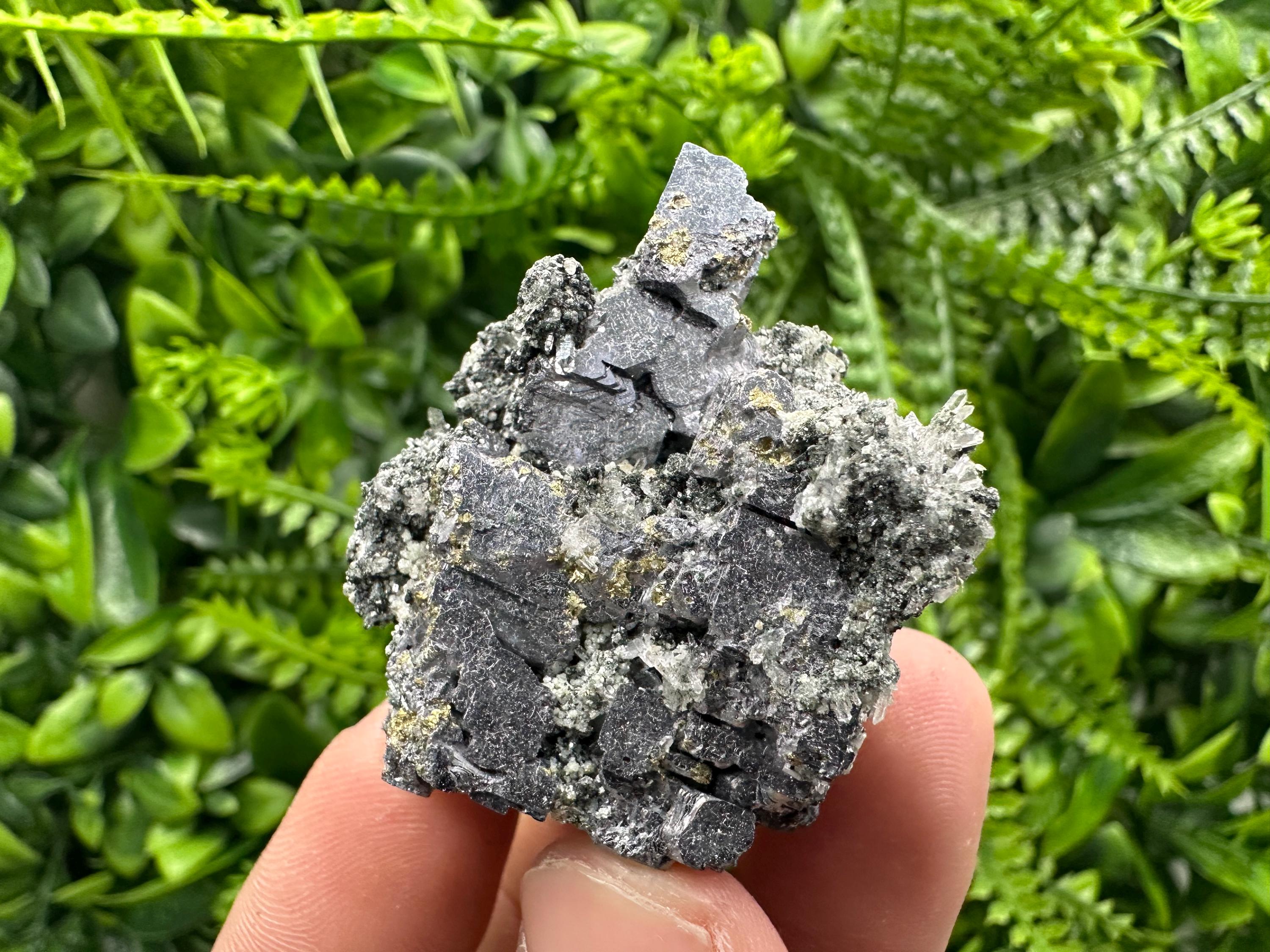 Pyrite on Galena with Quartz, Borieva Mine Mineral Specimen