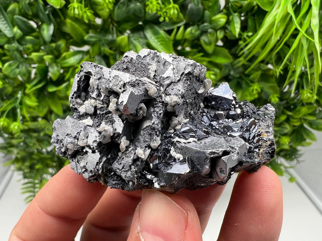 Aesthetic Natural shiny Galena whit Siderite and Quartz from 9 th September mine,Bulgaria,collection specimen,rare galena,Galena cluster