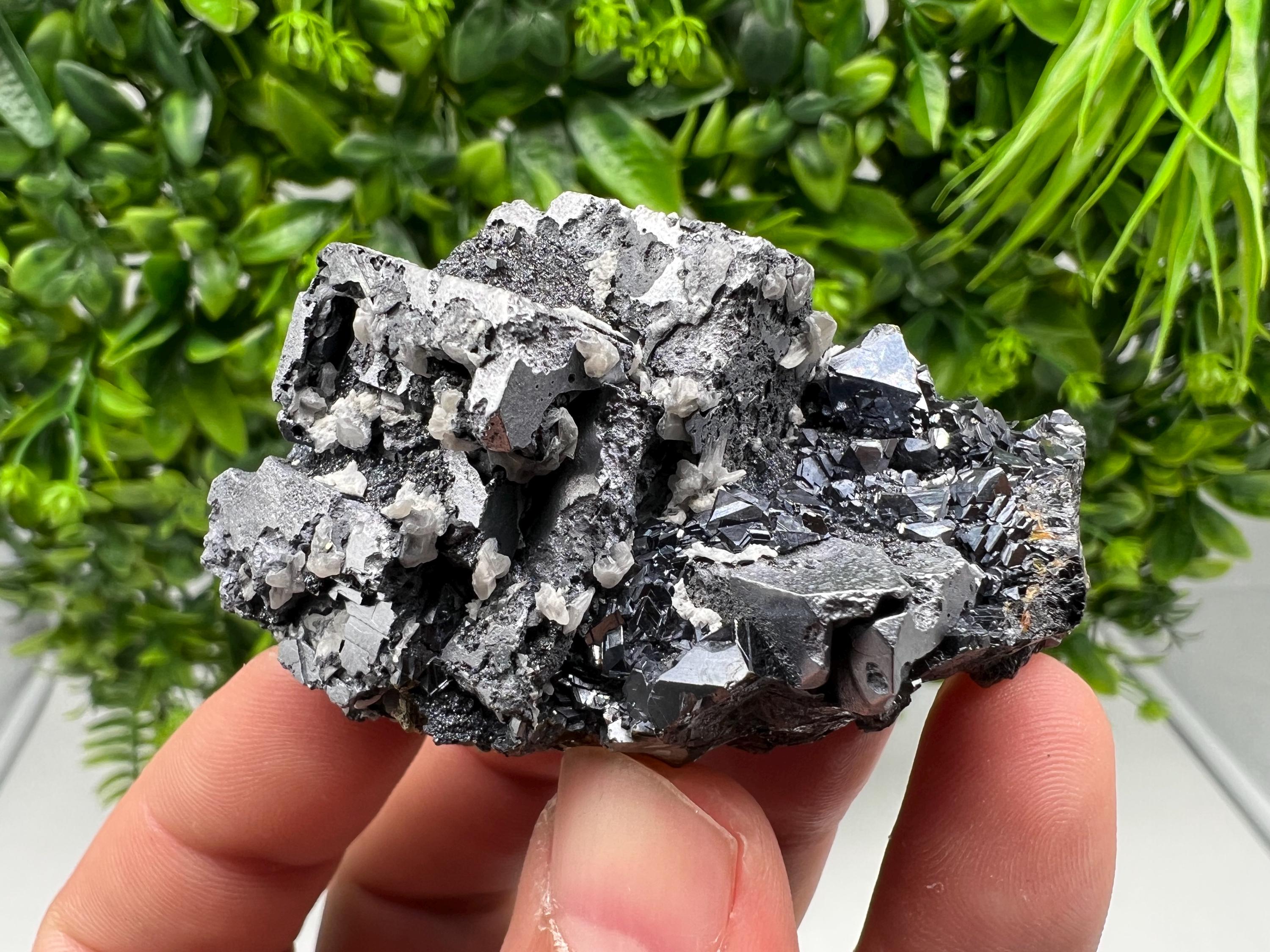 Aesthetic Natural shiny Galena whit Siderite and Quartz from 9 th September mine,Bulgaria,collection specimen,rare galena,Galena cluster