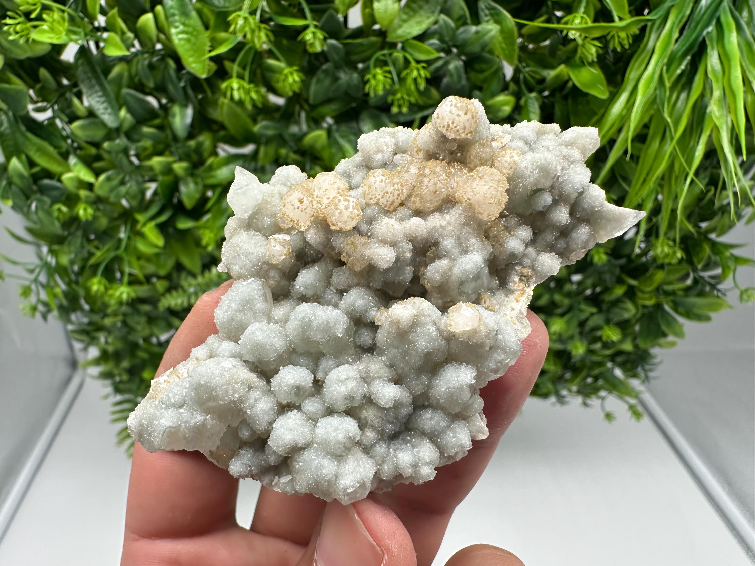 Quartz whit Brown Rhodochrosite from Djurcovo mine,Bulgaria,Quartz,Rhodochrosite cluster,natural mineral,collection crystal,mineral specimen